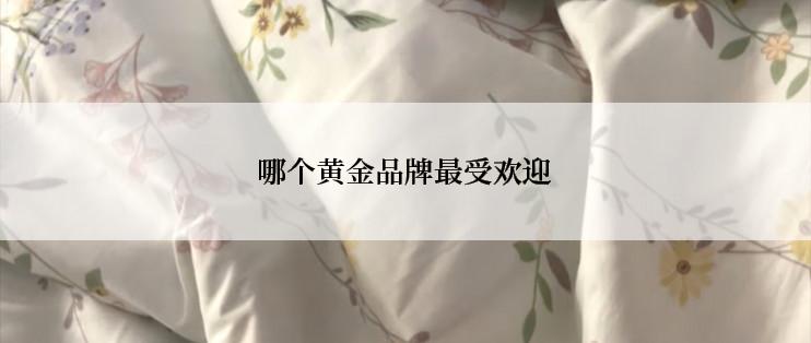 哪个黄金品牌最受欢迎