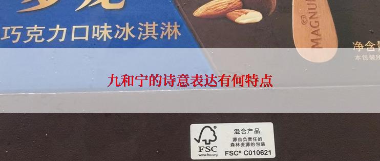 九和宁的诗意表达有何特点