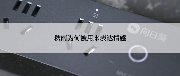 秋雨为何被用来表达情感