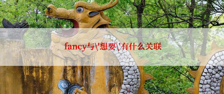  fancy与\'想要\'有什么关联