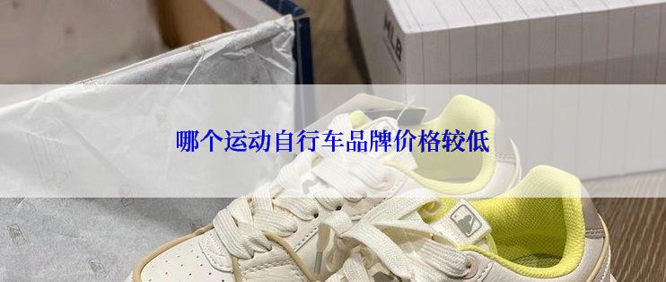 哪个运动自行车品牌价格较低