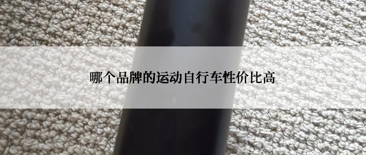 哪个品牌的运动自行车性价比高