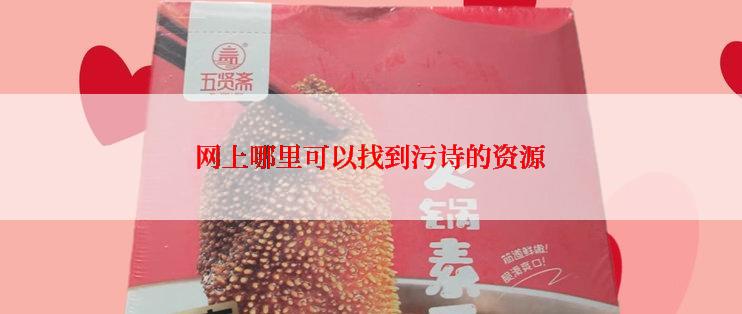 网上哪里可以找到污诗的资源