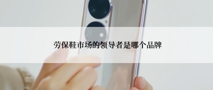  劳保鞋市场的领导者是哪个品牌