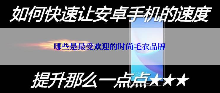 哪些是最受欢迎的时尚毛衣品牌