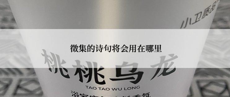  徵集的诗句将会用在哪里