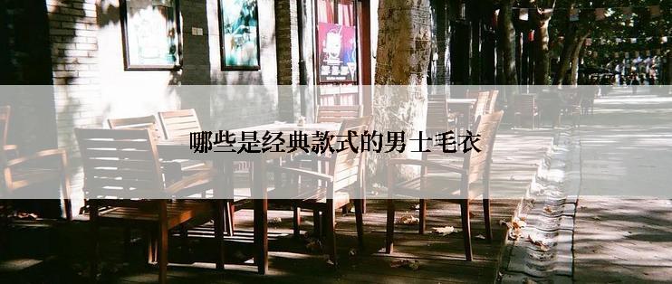 哪些是经典款式的男士毛衣