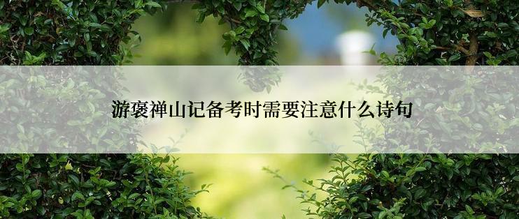  游褒禅山记备考时需要注意什么诗句