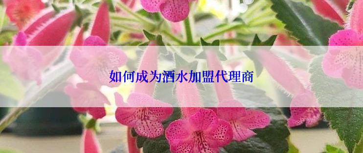 如何成为酒水加盟代理商