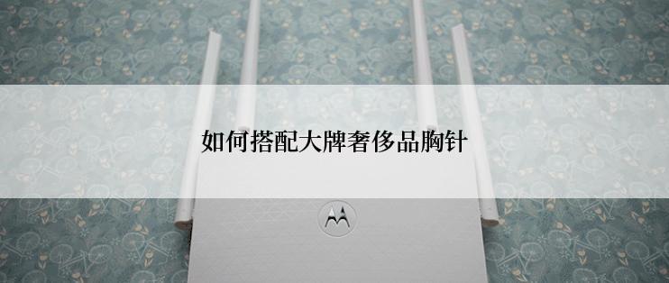 如何搭配大牌奢侈品胸针