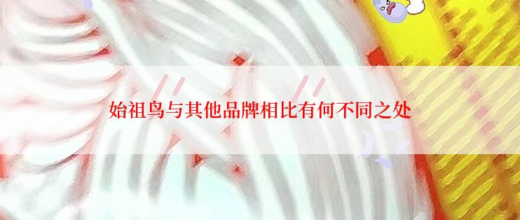 始祖鸟与其他品牌相比有何不同之处