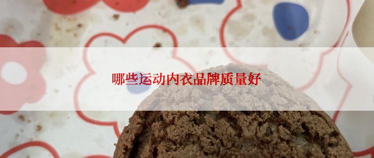 哪些运动内衣品牌质量好