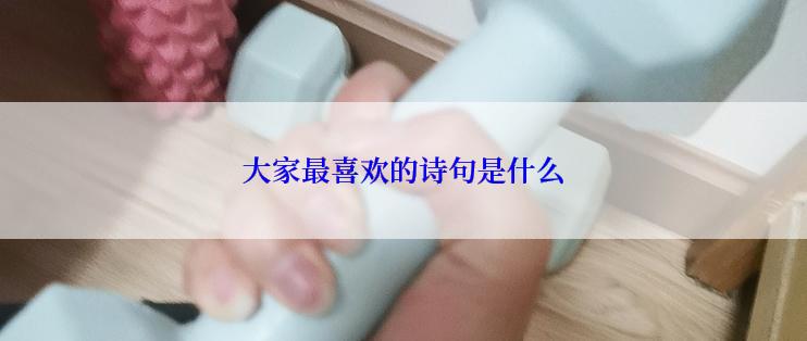 大家最喜欢的诗句是什么