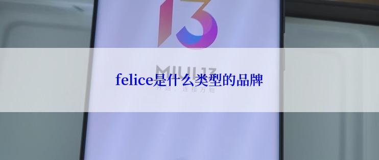 felice是什么类型的品牌