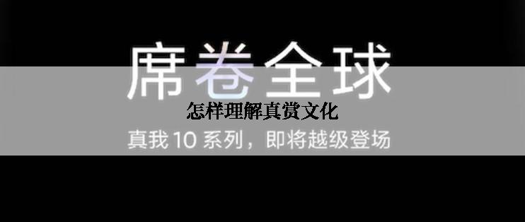 怎样理解真赏文化