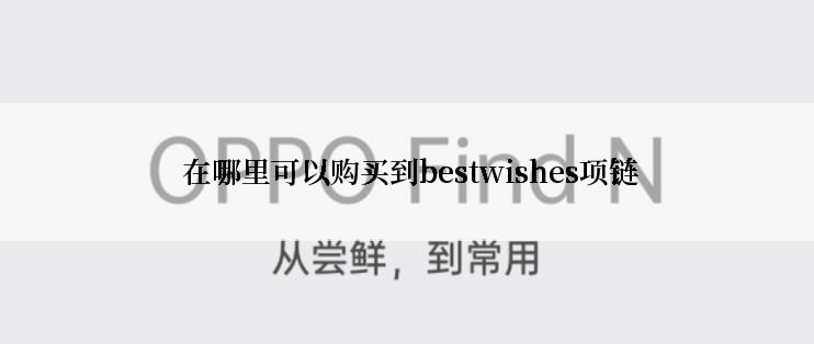  在哪里可以购买到bestwishes项链