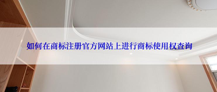  如何在商标注册官方网站上进行商标使用权查询