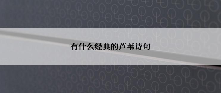 有什么经典的芦苇诗句