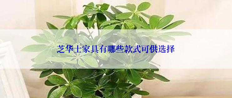 芝华士家具有哪些款式可供选择