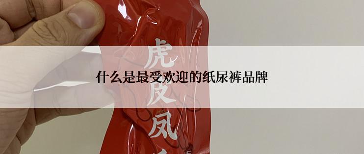 什么是最受欢迎的纸尿裤品牌