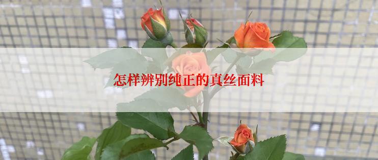 怎样辨别纯正的真丝面料