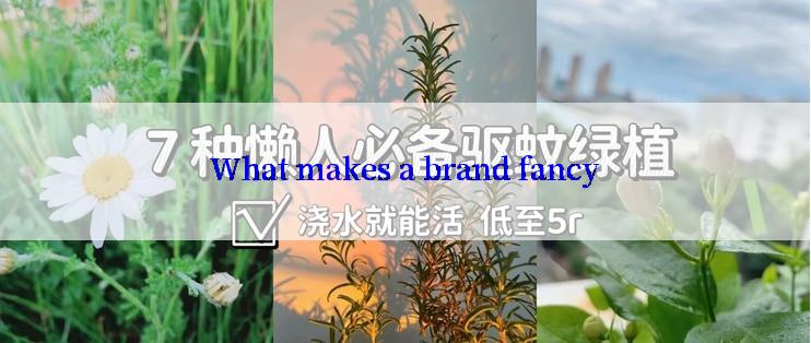 What makes a brand fancy