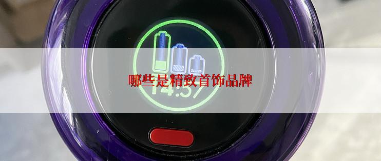 哪些是精致首饰品牌