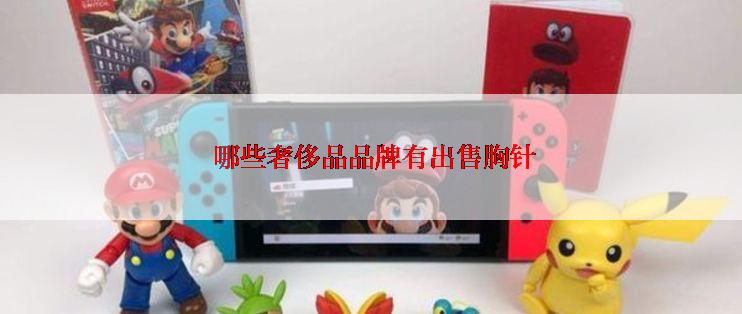  哪些奢侈品品牌有出售胸针