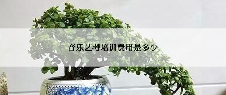 音乐艺考培训费用是多少