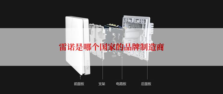 雷诺是哪个国家的品牌制造商