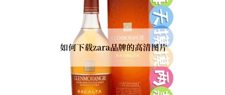  如何下载zara品牌的高清图片