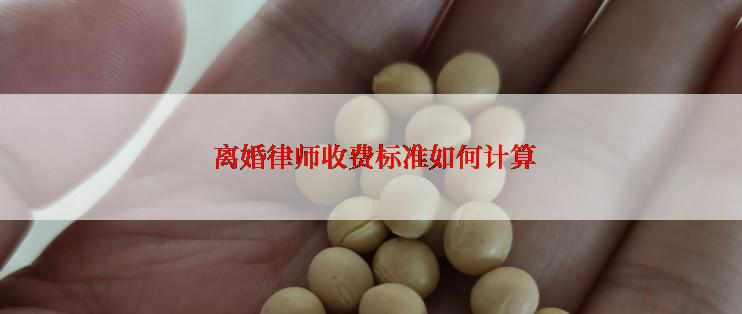  离婚律师收费标准如何计算