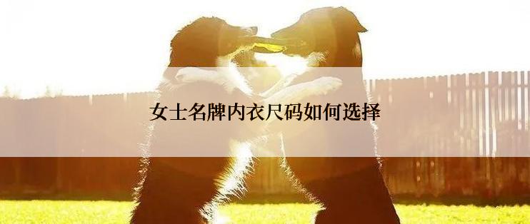 女士名牌内衣尺码如何选择