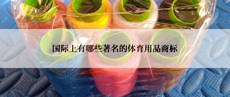 国际上有哪些著名的体育用品商标