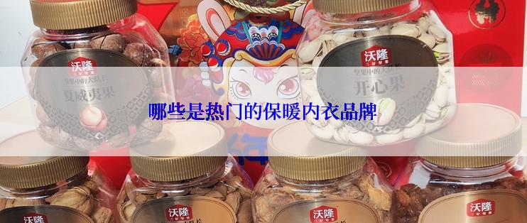 哪些是热门的保暖内衣品牌