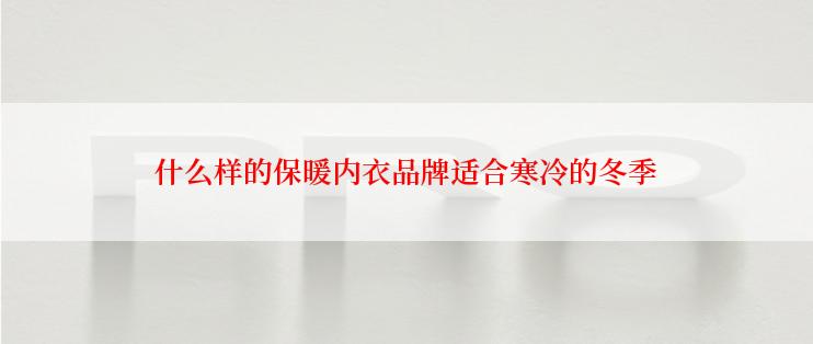 什么样的保暖内衣品牌适合寒冷的冬季