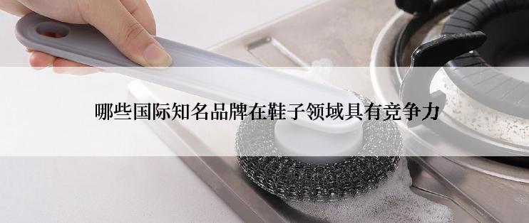  哪些国际知名品牌在鞋子领域具有竞争力