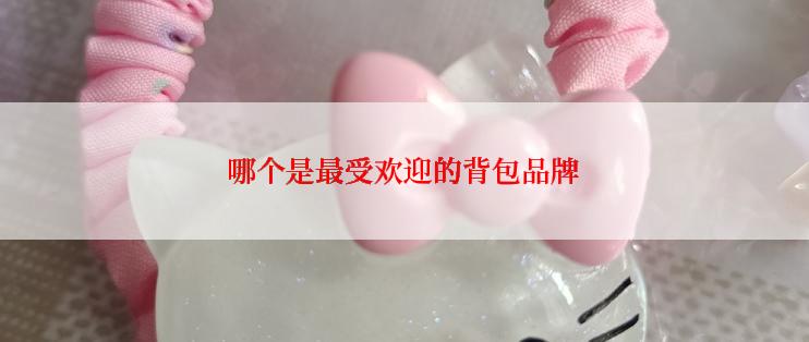 哪个是最受欢迎的背包品牌