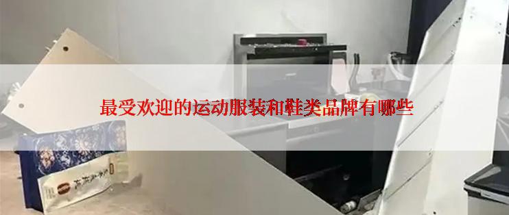  最受欢迎的运动服装和鞋类品牌有哪些