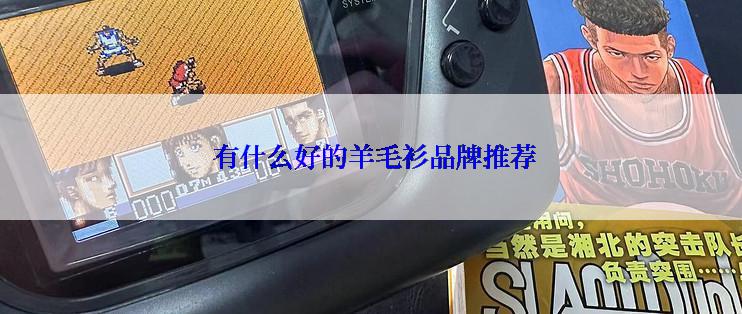  有什么好的羊毛衫品牌推荐