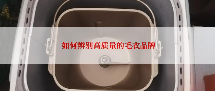  如何辨别高质量的毛衣品牌