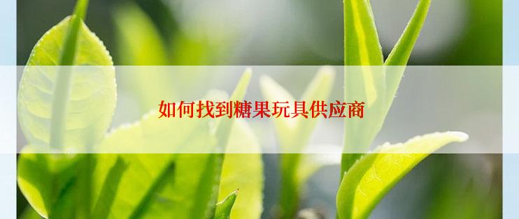  如何找到糖果玩具供应商