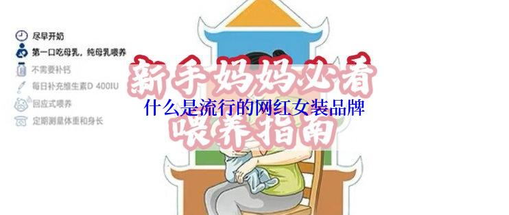 什么是流行的网红女装品牌