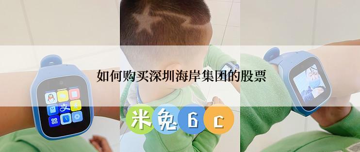  如何购买深圳海岸集团的股票