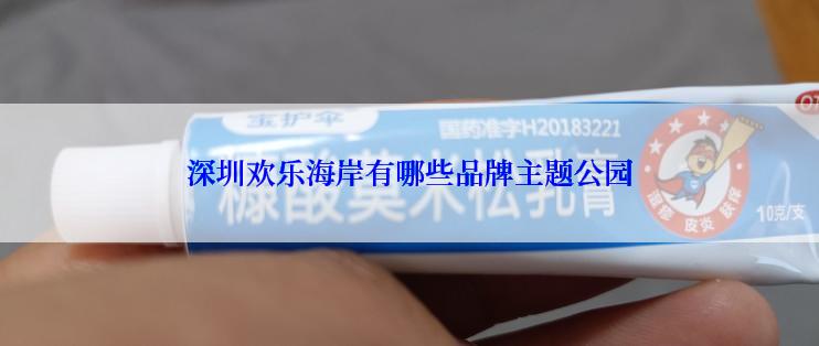 深圳欢乐海岸有哪些品牌主题公园