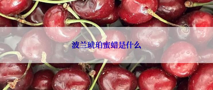 波兰琥珀蜜蜡是什么