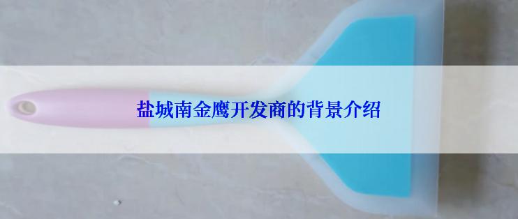 盐城南金鹰开发商的背景介绍