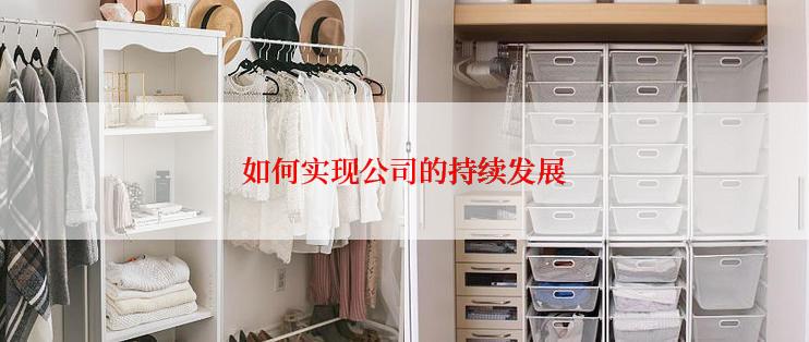 如何实现公司的持续发展