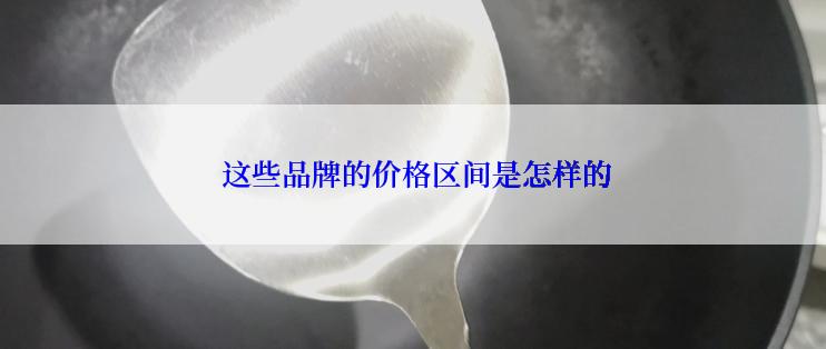  这些品牌的价格区间是怎样的