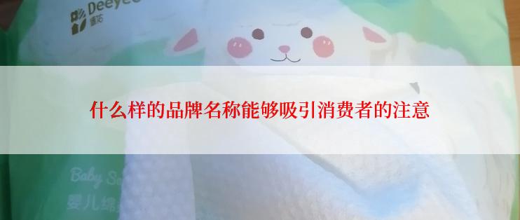 什么样的品牌名称能够吸引消费者的注意